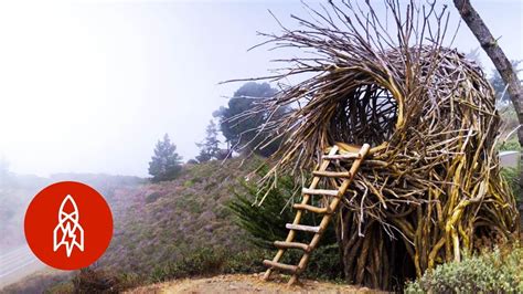  ¡El Hombre de los Nidos: Una Historia Alemana que Nos Hace Preguntar Sobre la Naturaleza de la Alegría!