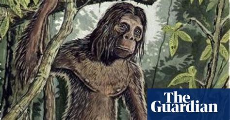  ¿La leyenda de Orang Pendek: ¿un enigma entre hombres y simios en la selva indonesa?